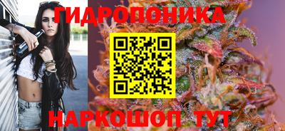 сатива Можайск