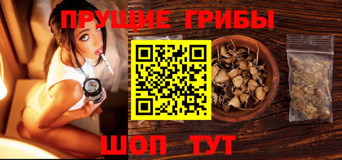 Псилоцибиновые грибы Cubensis Выборг