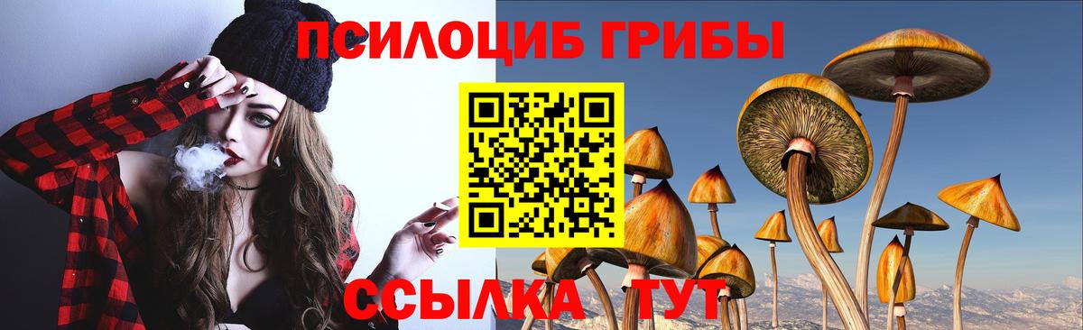 Галлюциногенные грибы Cubensis  Вход с VPN  Выборг 