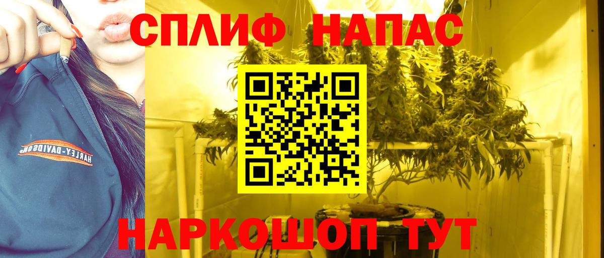 Выборг  Канабис MAZAR  Шишки марихуана тримм  Вход с VPN  Шишки марихуана White Widow 